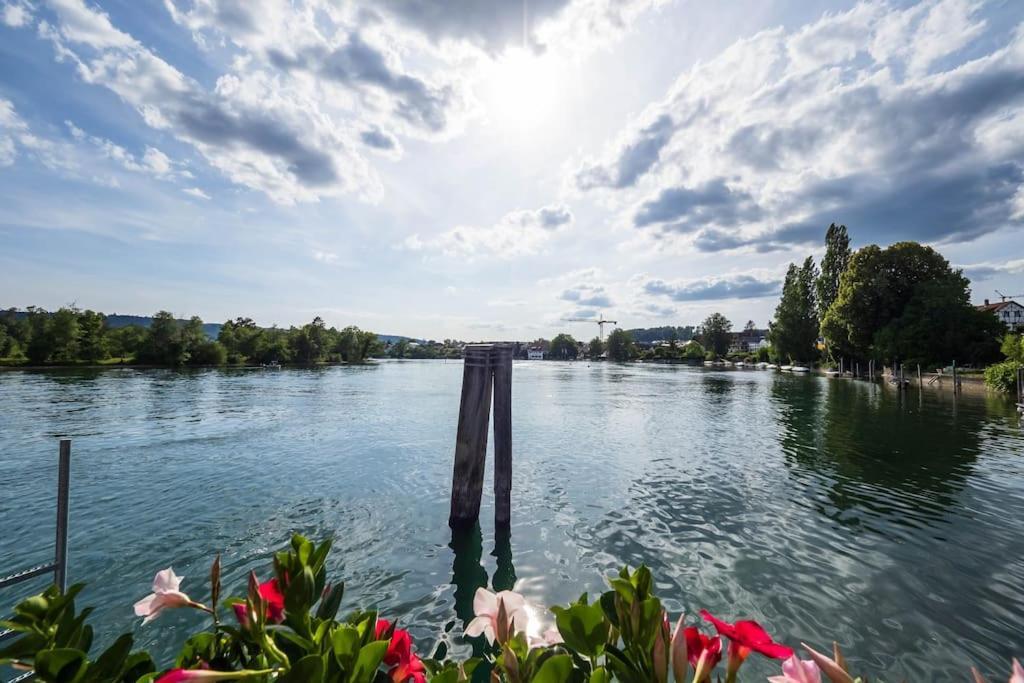Luxury Apartment On The Rhein Busingen am Hochrhein Exterior foto